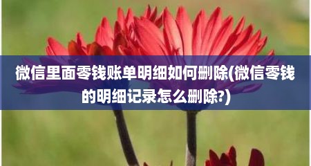 微信里面零钱账单明细如何删除(微信零钱的明细记录怎么删除?)