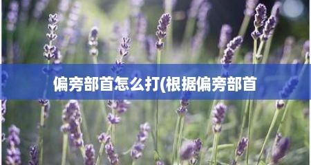 偏旁部首怎么打(根据偏旁部首