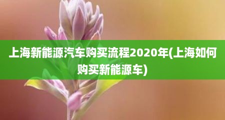 上海新能源汽车购买流程2020年(上海如何购买新能源车)