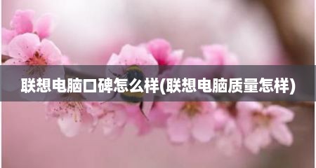 联想电脑口碑怎么样(联想电脑质量怎样)