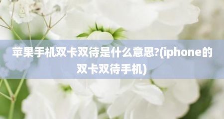 苹果手机双卡双待是什么意思?(iphone的双卡双待手机)