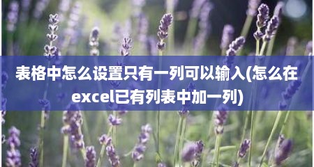 表格中怎么设置只有一列可以输入(怎么在excel已有列表中加一列)