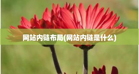 网站内链布局(网站内链是什么)