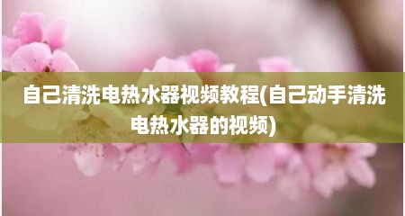 自己清洗电热水器视频教程(自己动手清洗电热水器的视频)