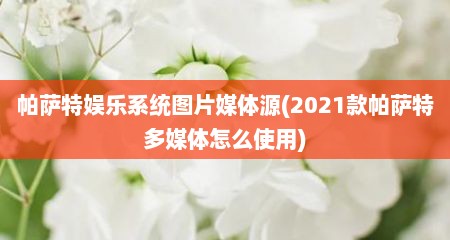 帕萨特娱乐系统图片媒体源(2021款帕萨特多媒体怎么使用)
