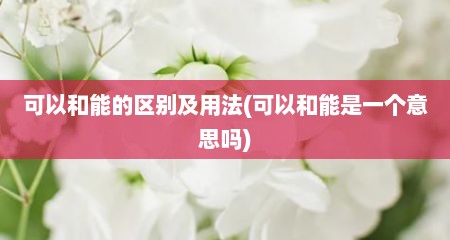 可以和能的区别及用法(可以和能是一个意思吗)