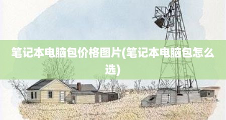 笔记本电脑包价格图片(笔记本电脑包怎么选)