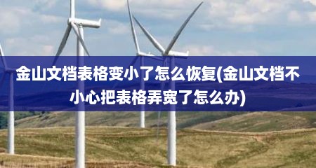 金山文档表格变小了怎么恢复(金山文档不小心把表格弄宽了怎么办)