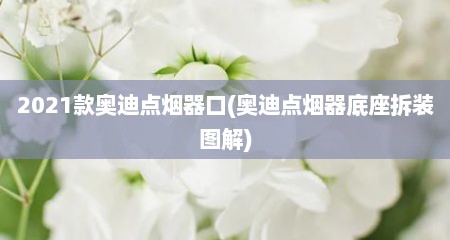 2021款奥迪点烟器口(奥迪点烟器底座拆装图解)