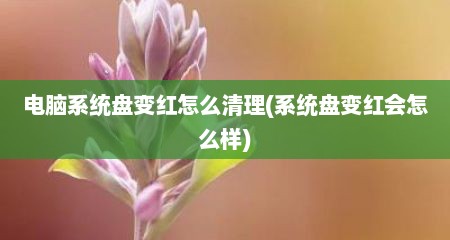 电脑系统盘变红怎么清理(系统盘变红会怎么样)