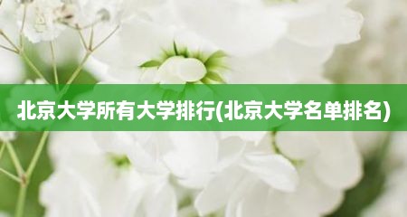 北京大学所有大学排行(北京大学名单排名)