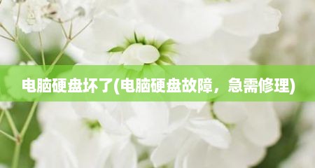 电脑硬盘坏予(电脑硬盘故障，急需修理)