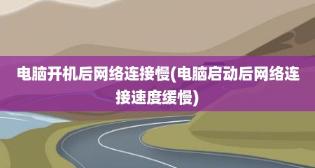 电脑开机后网络连接慢(电脑启动后网络连接速度缓慢)