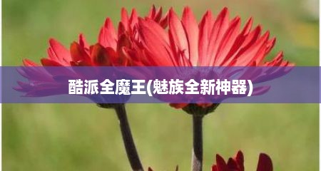 酷派全魔王(魅族全新神器)