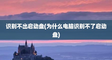 识别不出启动盘(为什么电脑识别不了启动盘)