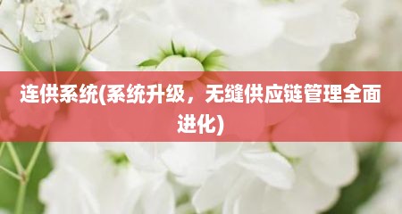 连供系统(系统升级，无缝供应链管理全面进化)