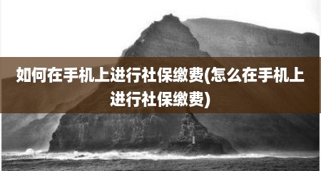 如何在手机上进行社保缴费(怎么在手机上进行社保缴费)