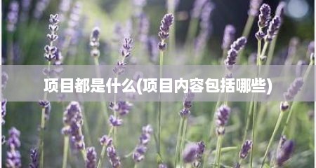 项目都是什么(项目内容包括哪些)