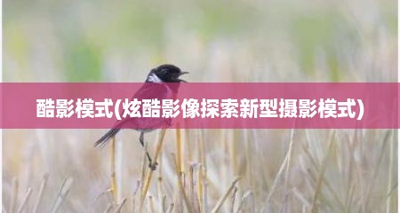 酷影模式(炫酷影像探索新型摄影模式)