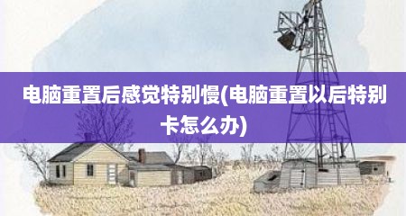 电脑重置后感觉特别慢(电脑重置以后特别卡怎么办)