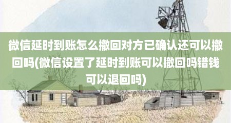 微信延时到账怎么撤回对方已确认还可以撤回吗(微信设置了延时到账可以撤回吗错钱可以退回吗)