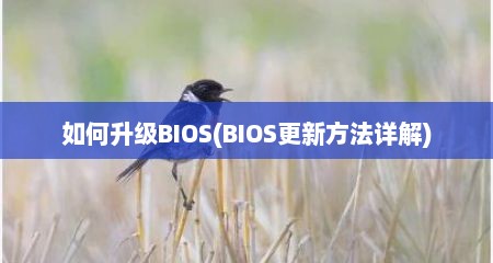 茹何升级BIOS(BIOS十分新方法详解)