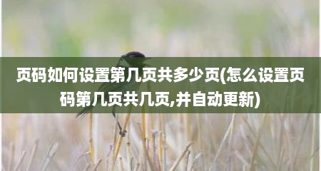 页码如何设置第几页共多少页(怎么设置页码第几页共几页,并自动更新)