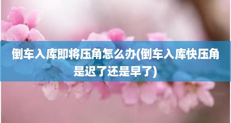 倒车入库即将压角怎么办(倒车入库快压角是迟了还是早了)