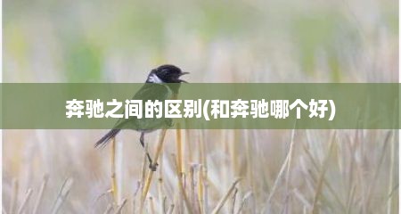 奔驰之间的区别(和奔驰哪个好)