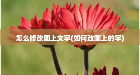 怎么修改图上文字(如何改图上的字)