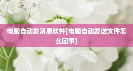 电脑自动发消息软件(电脑自动发送文件怎么回事)