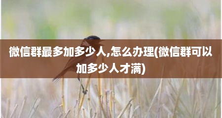 微信群最多加多少人,怎么办理(微信群可以加多少人才满)