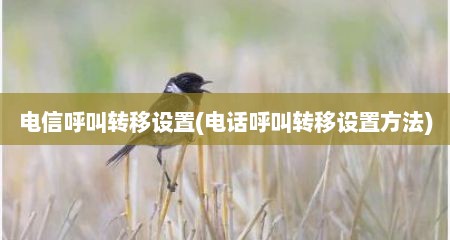 电信呼叫转移设置(电话呼叫转移设置方法)