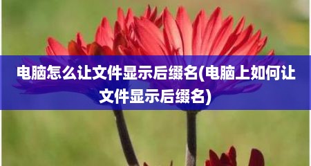 电脑怎么让文件显示后缀名(电脑上如何让文件显示后缀名)