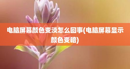 电脑屏幕颜色变淡怎么回事(电脑屏幕显示颜色变暗)