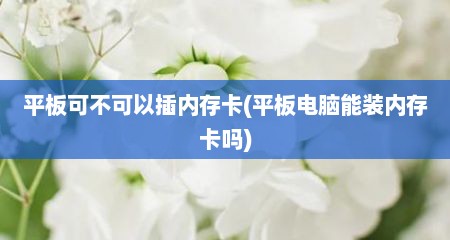 平板可不可以插内存卡(平板电脑能装内存卡吗)