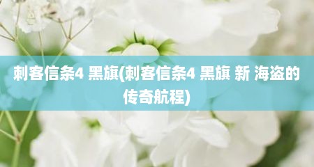 刺客信条4 黑旗(刺客信条4 黑旗 新 海盗的传奇航程)