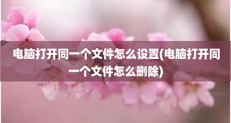 电脑打开同一个文件怎么设置(电脑打开同一个文件怎么删除)
