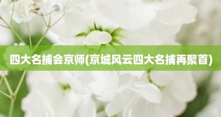 四大名捕会京师(京城风云四大名捕再聚首)