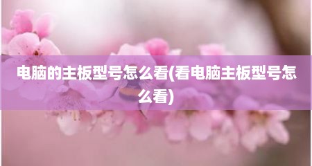 电脑的主板型号怎么看(看电脑主板型号怎么看)