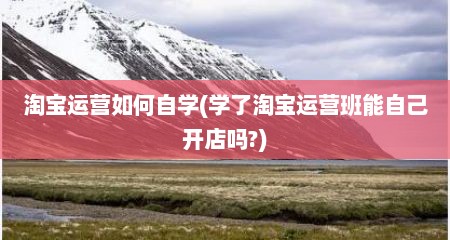 淘宝运营如何自学(学了淘宝运营班能自己开店吗?)