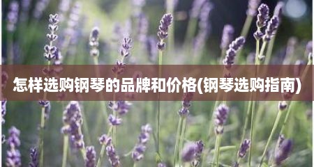 怎样选购钢琴的品牌和价格(钢琴选购指南)