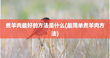 煮羊肉最好的方法是什么(最简单煮羊肉方法)