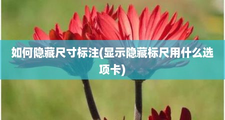 如何隐藏尺寸标注(显示隐藏标尺用什么选项卡)