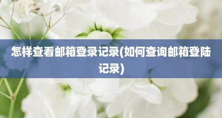 怎样查看邮箱登录记录(如何查询邮箱登陆记录)