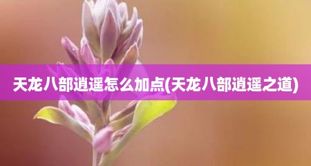 天龙八部逍遥怎么加点(天龙八部逍遥芝道)