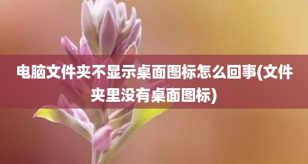 电脑文件夹不显示桌面图标怎么回事(文件夹里没有桌面图标)