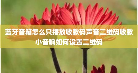 蓝牙音箱怎么只播放收款码声音二维码收款小音响如何设置二维码
