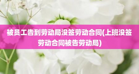 被员工告到劳动局没签劳动合同(上班没签劳动合同被告劳动局)