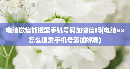 电脑微信能搜索手机号码加微信吗(电脑vx怎么搜索手机号添加好友)